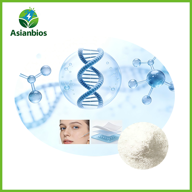 Human Recombinant Collagen